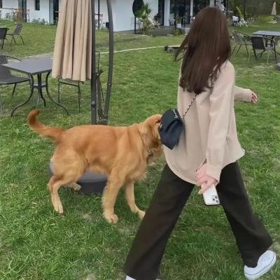 鬼精灵：起源